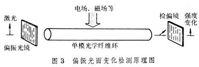 偏振光面变化检测原理图